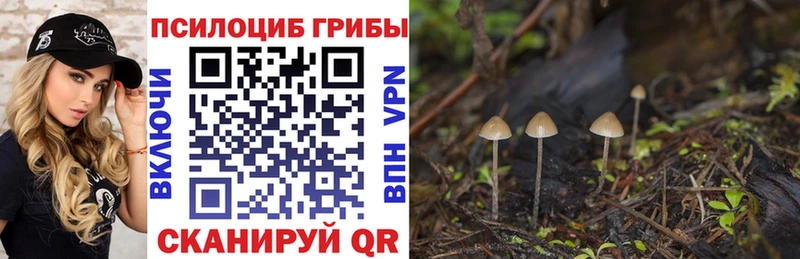 Галлюциногенные грибы прущие грибы  Купить  Мышкин 