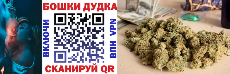 Купить где  Мышкин  Конопля гибрид 